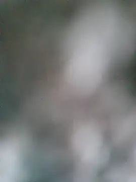 Priya_Bong webcam