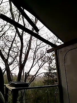 ClitorisBoobs webcam