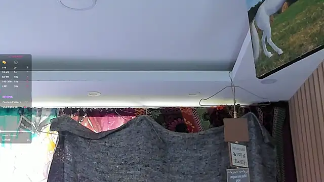 orionblaze69_ webcam