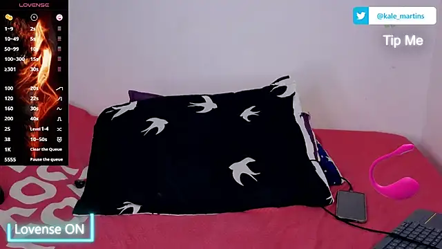 KALE_19 webcam
