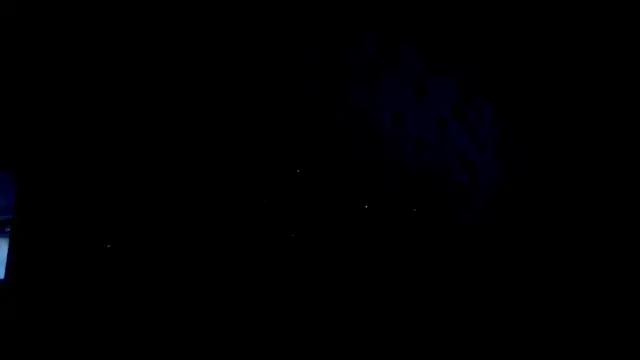 SashaDurante webcam