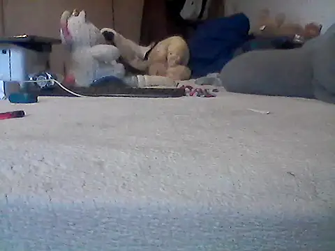 Silencio26 webcam