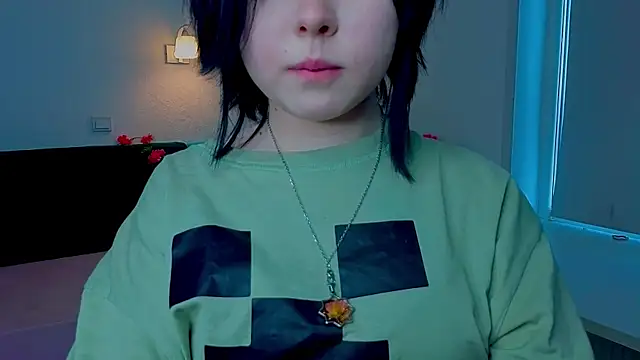 HirokoBard webcam