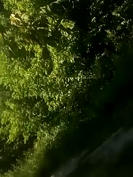 biketravelchat - BiketravelChat's free webcam - UK Sex Cams