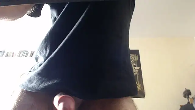 punkaff webcam