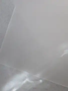 cazzoweb webcam