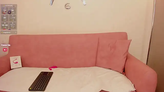 Anthaarr webcam