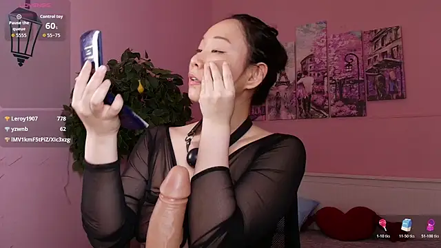 Inari_Okami_ webcam