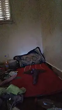 trans511 webcam