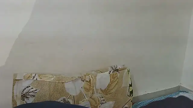 personal_use25 webcam