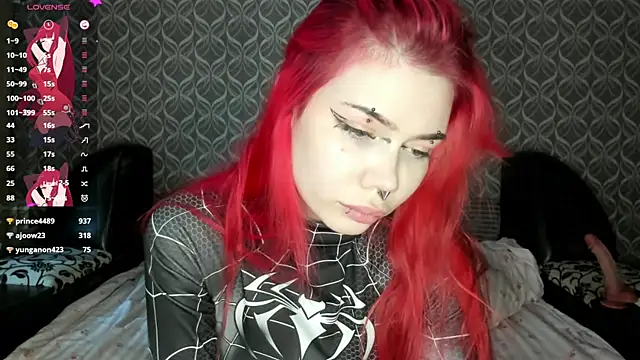 Veldenga webcam