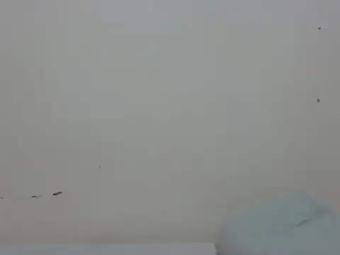 Fancy-mayya webcam
