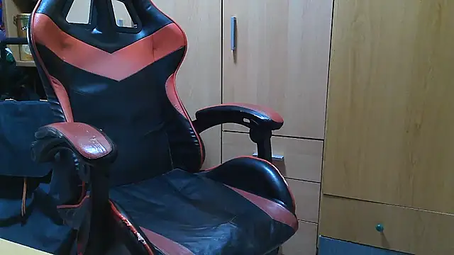 Javier_bear webcam