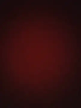 MAMIDRjk webcam