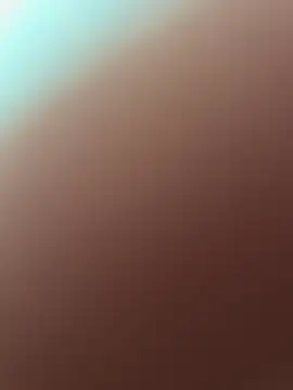 mrbeast2007 webcam