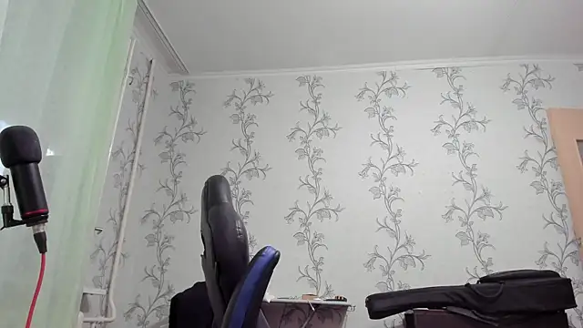 SanFrantsisko webcam