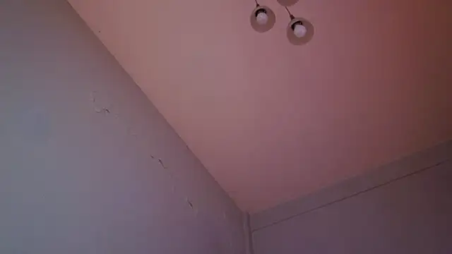 phranof_ webcam