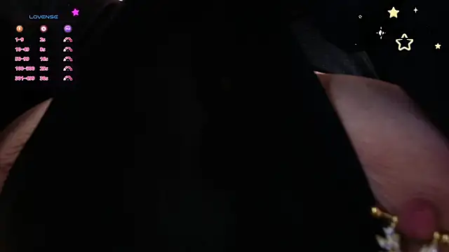 aria_li webcam