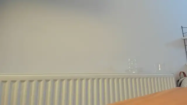 LesyaTouch webcam