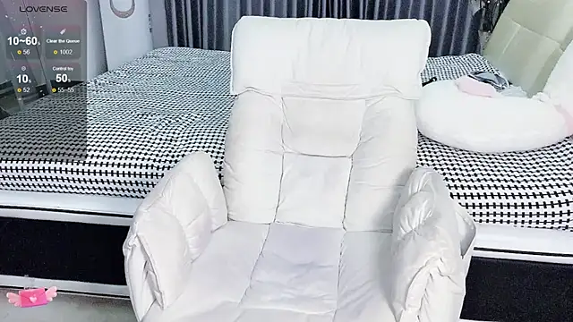 Lda- webcam