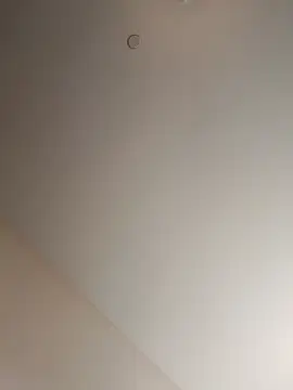 minim388 webcam