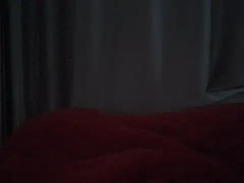 Fries20 webcam