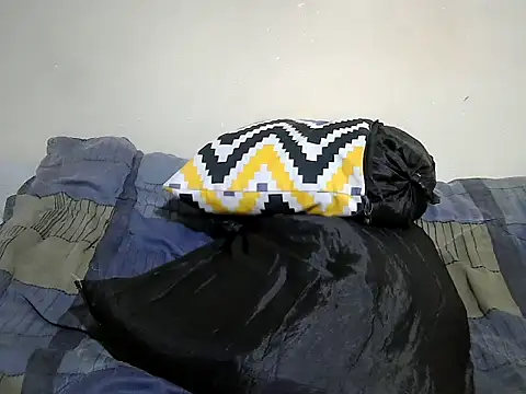 dee_fancy webcam
