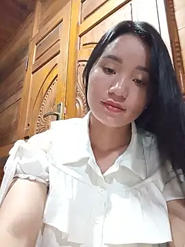 Td3di webcam