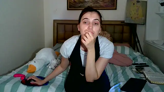 Iren webcam