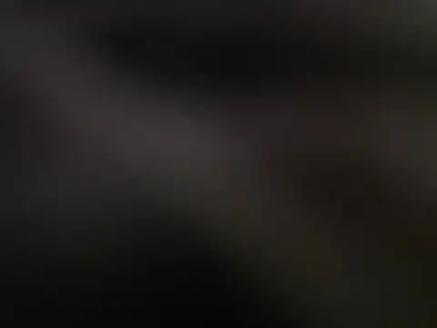 Demilame webcam