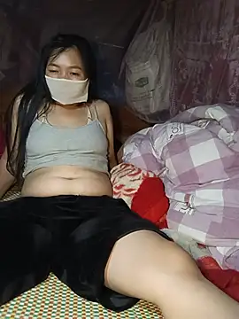 Hiha-nn webcam