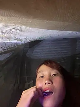 kekely webcam