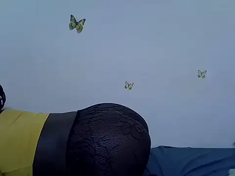 berrynova webcam