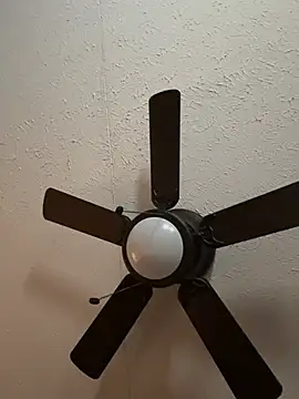 Gotchumia2026 webcam