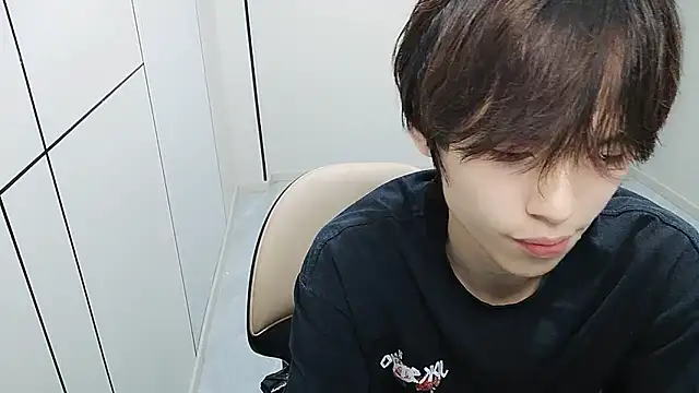 T2028T webcam