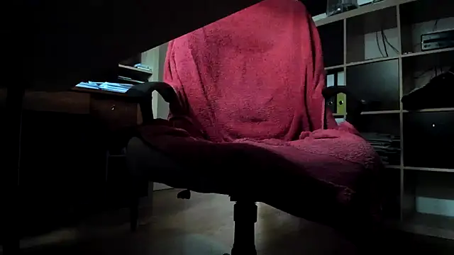 leccaleccafiga webcam
