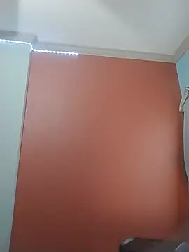 ReallyReallyReal webcam