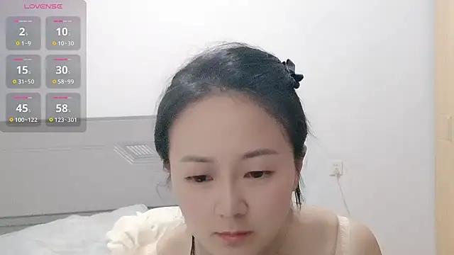 fanfan-FF webcam