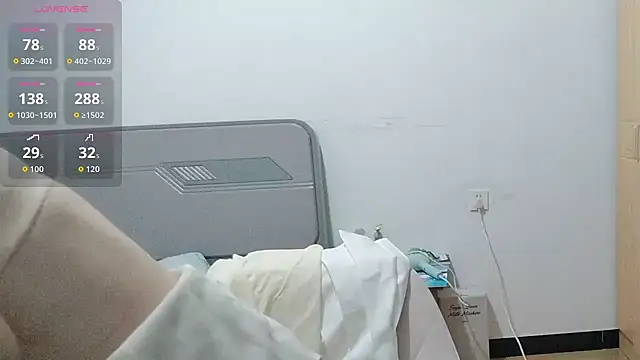 fanfan-FF webcam