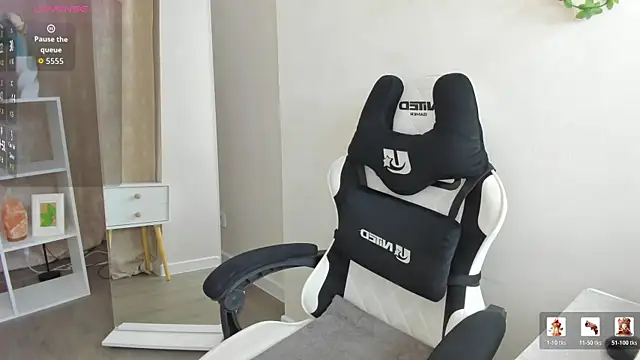 Dixon_Ross webcam