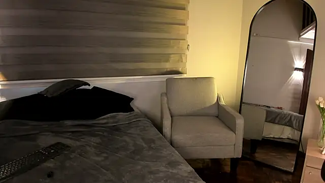MERIDA_TAYLOR webcam