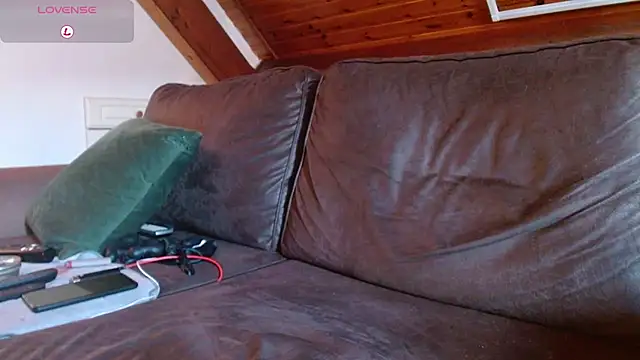 Vrenico-SC webcam
