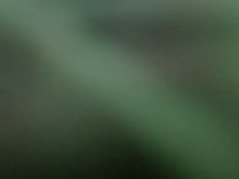 Demilame webcam
