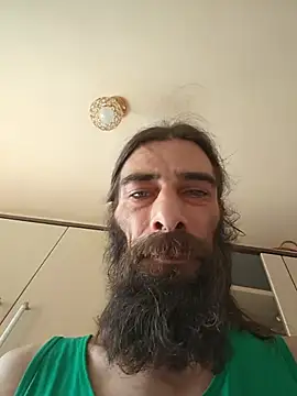 vulpe8400 webcam