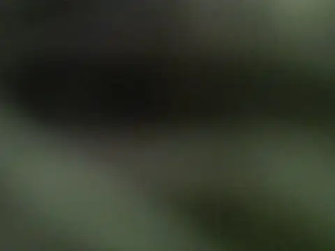 Demilame webcam
