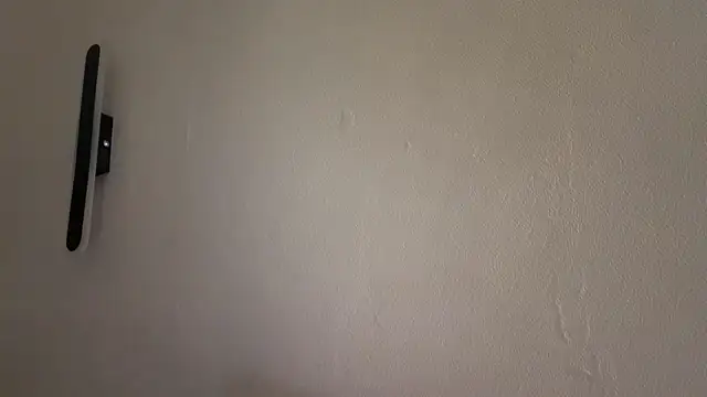 Ur_neighbor_Kira webcam