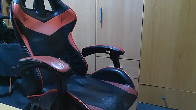 Javier_bear webcam