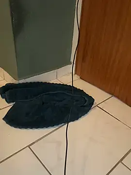 LeviXtreme webcam