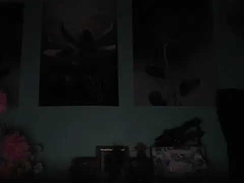 Demilame webcam