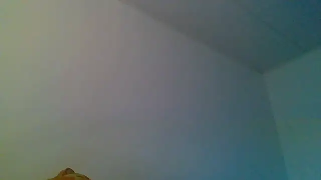 Kaappi1967 webcam
